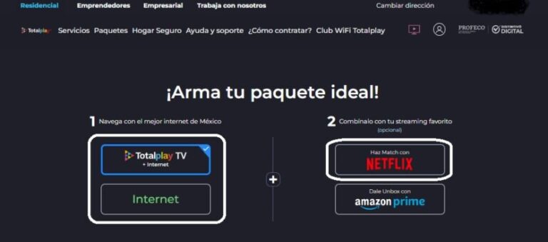 Paquetes Totalplay Con Netflix Qué Incluyen Precio Y Cómo Obtenerlos Remender México